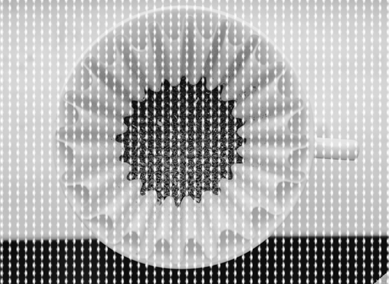 コーヒーフィルターの画像